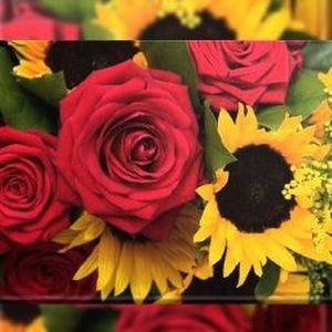 Meet your Posher, Julianna